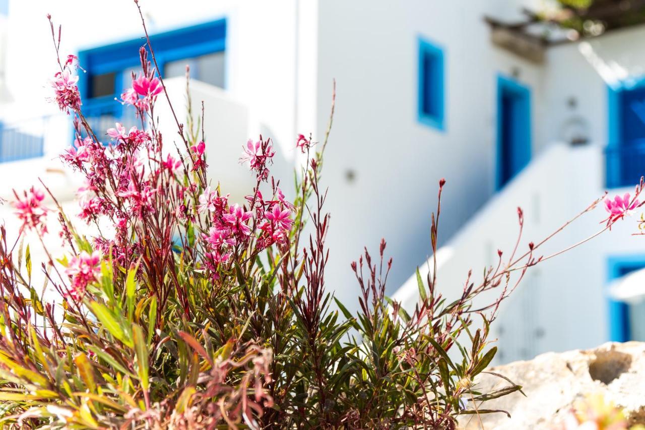 Bella Vista Stegna Aparthotel Archangelos  Luaran gambar